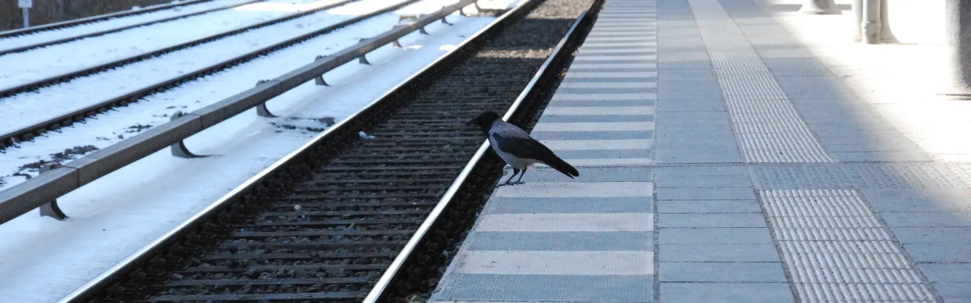 Symbolfoto - S-Bahn